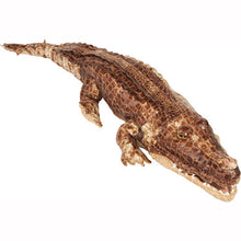 Load image into Gallery viewer, Crocodile Puppet (30")