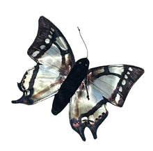 Load image into Gallery viewer, Swallowtail Butterfly Finger Puppet (7")