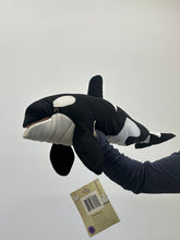 Load image into Gallery viewer, 24" Killer Whale (IMPERFECT 1376)