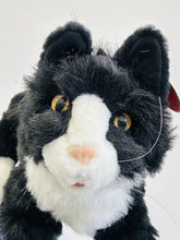 Load image into Gallery viewer, 12" NB&W Cat (Imperfect 983)
