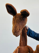 Load image into Gallery viewer, 38" Kangaroo plush NOT a puppet (Imperfect 1131)