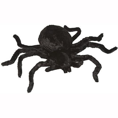 Black Widow Spider (11