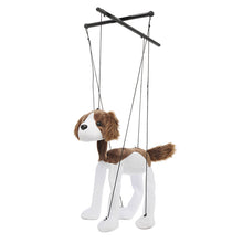 Load image into Gallery viewer, Springer Spaniel Puppy (Small - 8")