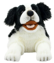 Load image into Gallery viewer, Border Collie Puppet (20")