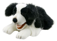 Load image into Gallery viewer, Border Collie Puppet (20&quot;)
