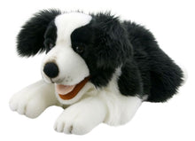 Load image into Gallery viewer, Border Collie Puppet (20")