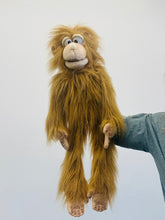 Load image into Gallery viewer, 28" Silly Monkey (IMPERFECT 1178)

