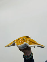 Load image into Gallery viewer, 12&quot; Sting Ray (Imperfect 937)
