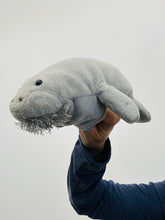 Load image into Gallery viewer, 12&quot; Manatee (Imperfect 938)
