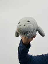 Load image into Gallery viewer, 12&quot; Manatee (Imperfect 938)
