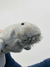 Load image into Gallery viewer, 12&quot; Manatee (Imperfect 938)

