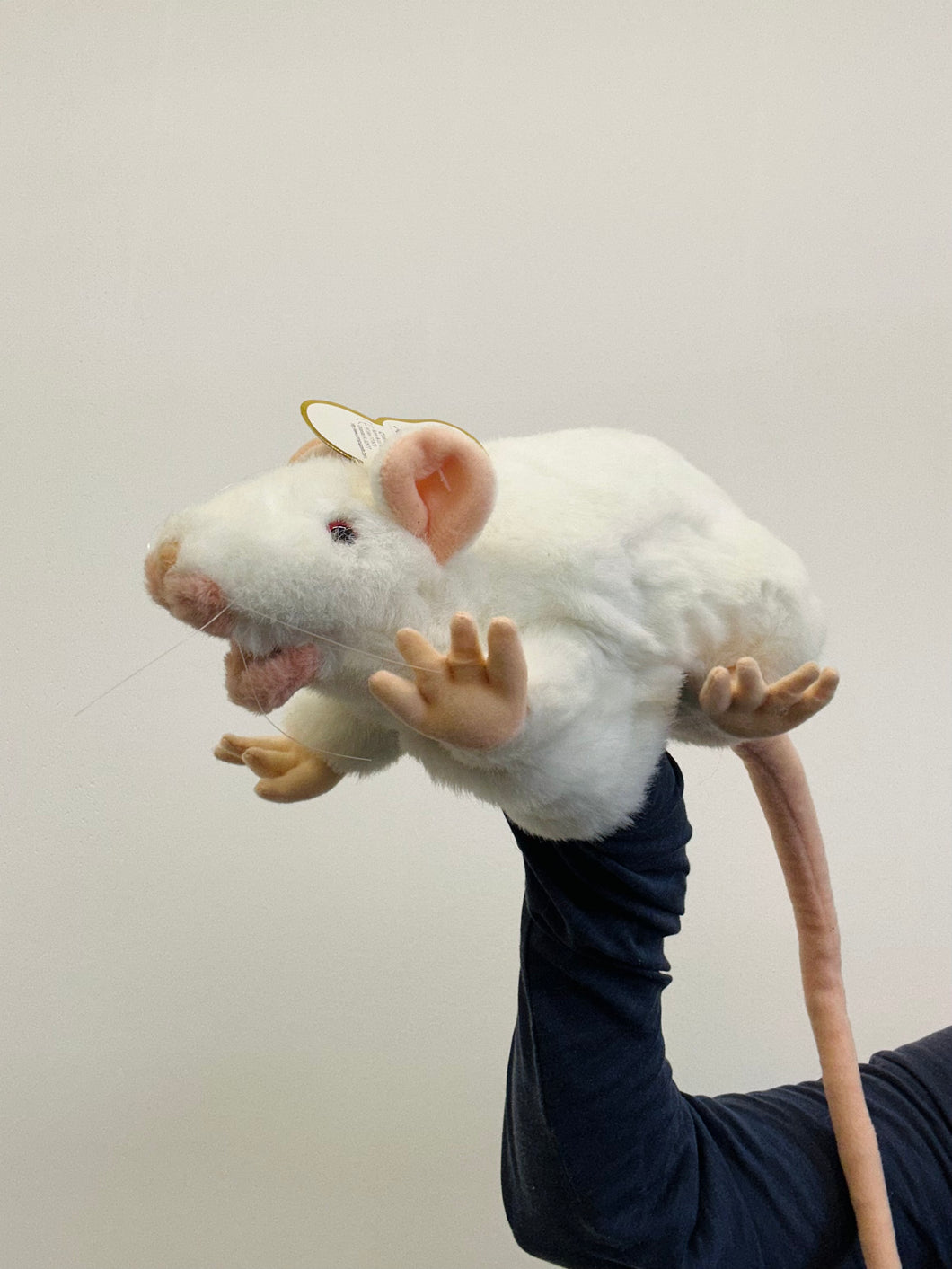 White Rat (Imperfect 978)