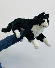 Load image into Gallery viewer, 12&quot; NB&amp;W Cat (Imperfect 983)
