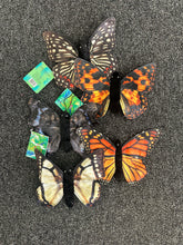 Load image into Gallery viewer, 5 x 6&quot; Butterflies (Imperfect 1005)
