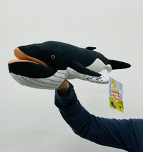 Load image into Gallery viewer, 24&quot; Humpback Whtle (Imperfect 1033)
