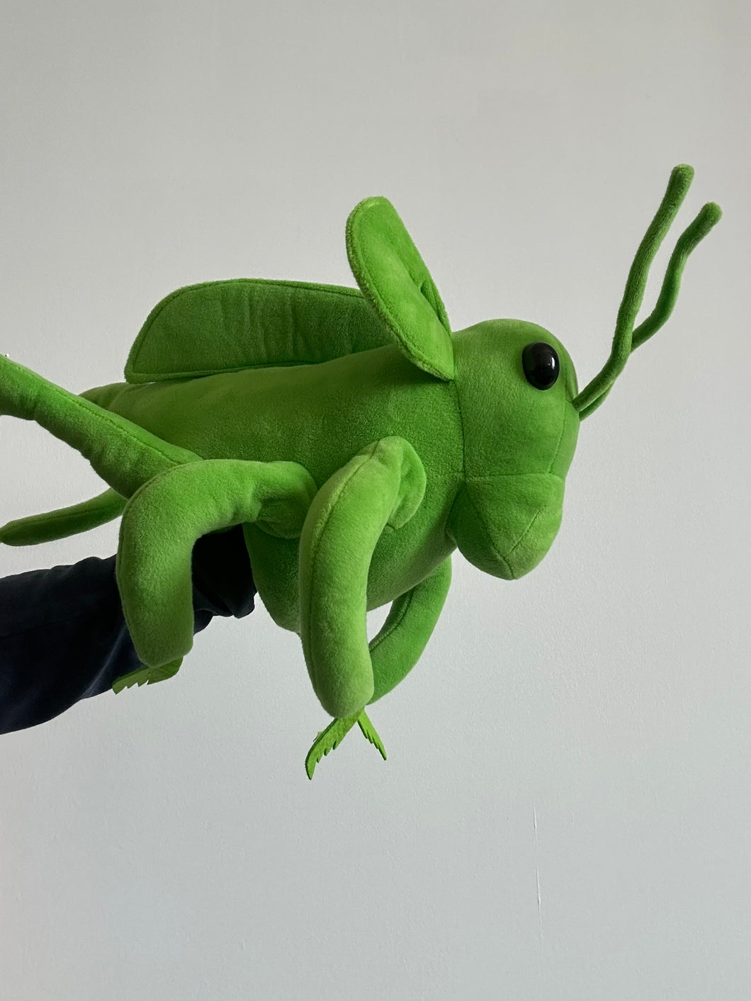 Grasshopper (Imperfect 1098)