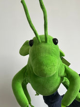 Load image into Gallery viewer, Grasshopper (Imperfect 1098)
