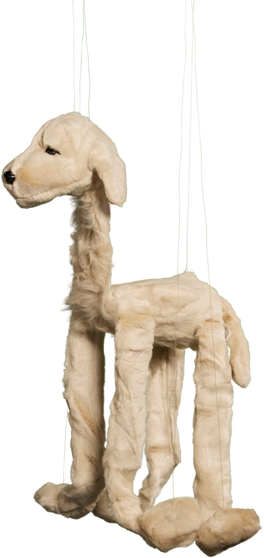 Labrador Marionette (Jumbo - 26