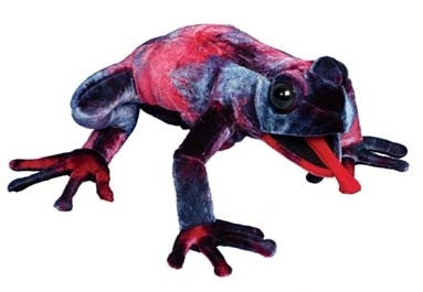 Rainbow Dart Frog Puppet (12
