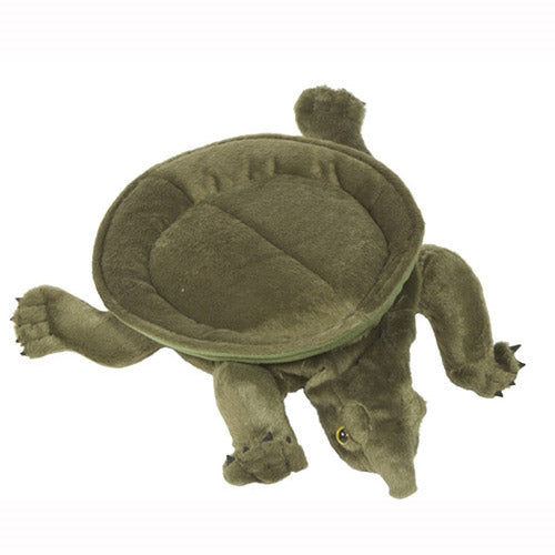 Softshell Turtle Puppet (12