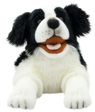 Load image into Gallery viewer, Border Collie Puppet (20&quot;)
